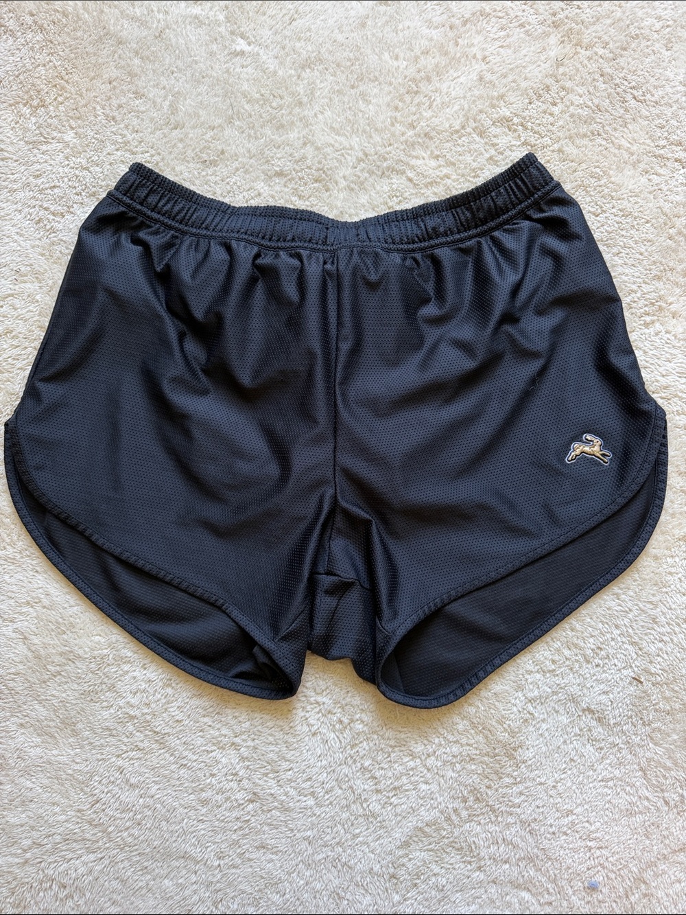 Tracksmith - mesh shorts